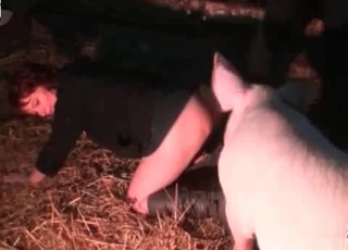 White tyke in animal sex scene