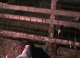 White tyke in animal sex scene
