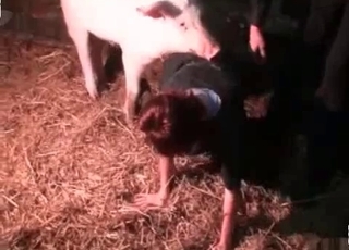 White tyke in animal sex scene