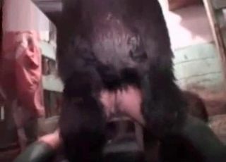 Good and crazy sex in the barn