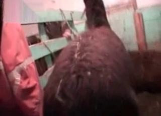 Good and crazy sex in the barn