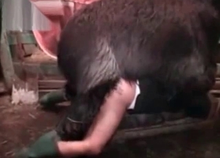 Good and crazy sex in the barn