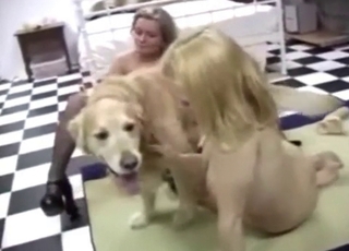 Close up fuck with girls and dog