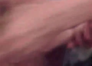 Two bitches in the sexy bestial action