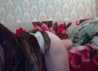 Stray and a mature lady