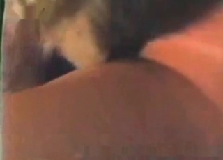 Tyke fucked by a guy
