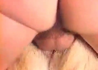 Enjoyable amateur bestial porn
