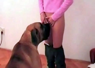 Trained animal enjoys a pussy