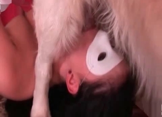 Nasty masked babe blows her dog