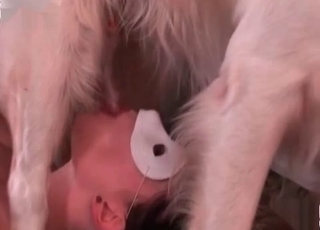 Nasty masked babe blows her dog