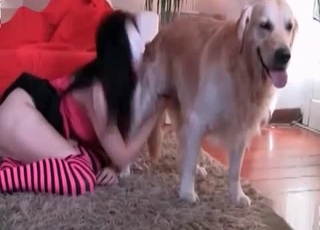 Nasty masked babe blows her dog