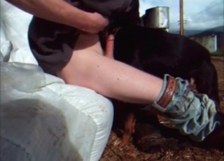 Doggy is sucking a hard dong