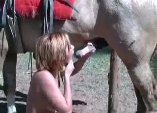 Horse and a horny girl