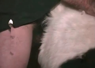 Man fucks his animal from behind