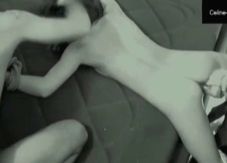 Puppy penetrating a girl