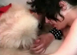 Stray enjoying a blowjob