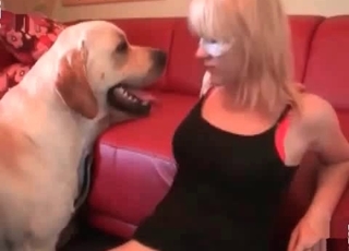 Black dog is having a hot sex
