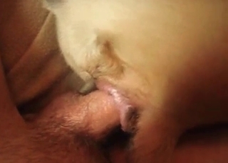 Stunning bestial porn in close up