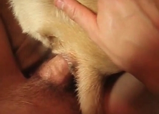 Stunning bestial porn in close up