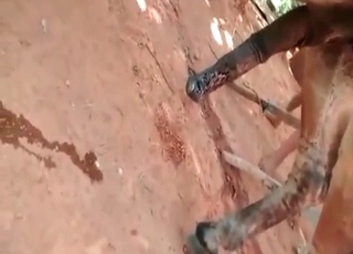 Horse fucking another pony