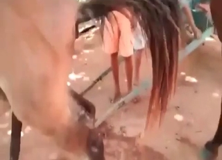Horse fucking another pony