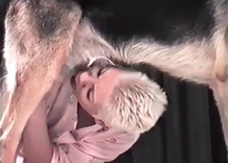 Shepherd enjoys her tight twat