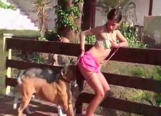 Fucking cute doggies