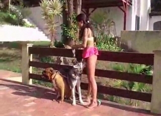 Fucking cute doggies