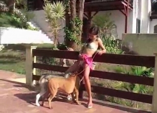 Fucking cute doggies