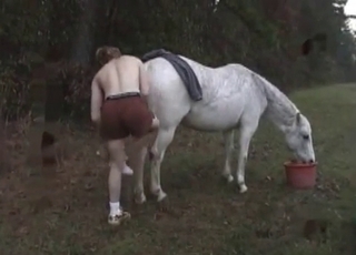 Crazy white stallion loves sex