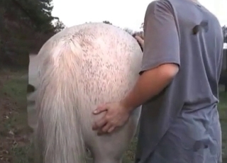Crazy white stallion loves sex