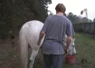 Crazy white stallion loves sex