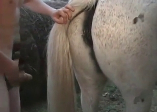 Crazy white stallion loves sex
