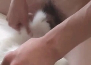 Cock riding action with a dog