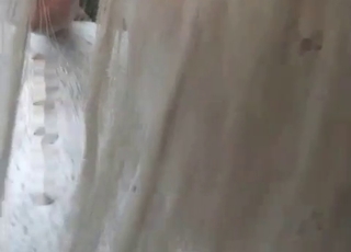 White stallion gets screwed hot