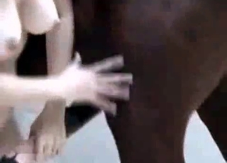 Sweet horse pleasing girl