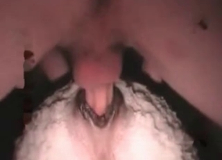 Anal action in the bestiality porn