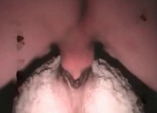 Anal action in the bestiality porn