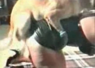 Doggy fucking a brunette