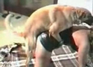 Doggy fucking a brunette