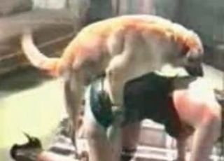 Doggy fucking a brunette