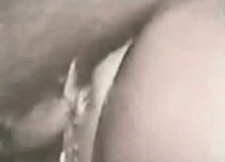 Girl enjoying animal sex