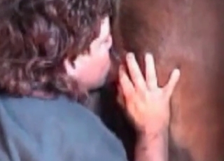 Rimjob for a sexy brown horse