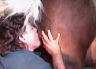Rimjob for a sexy brown horse