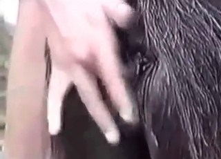 Man zoophile plays with a dog