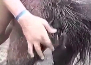 Man zoophile plays with a dog