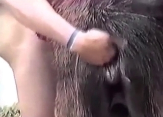Man zoophile plays with a dog