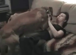 Very intensive bestiality sex