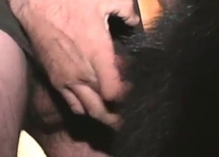 Anus fingered by a zoophile
