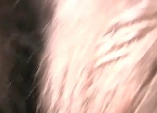 Anus fingered by a zoophile